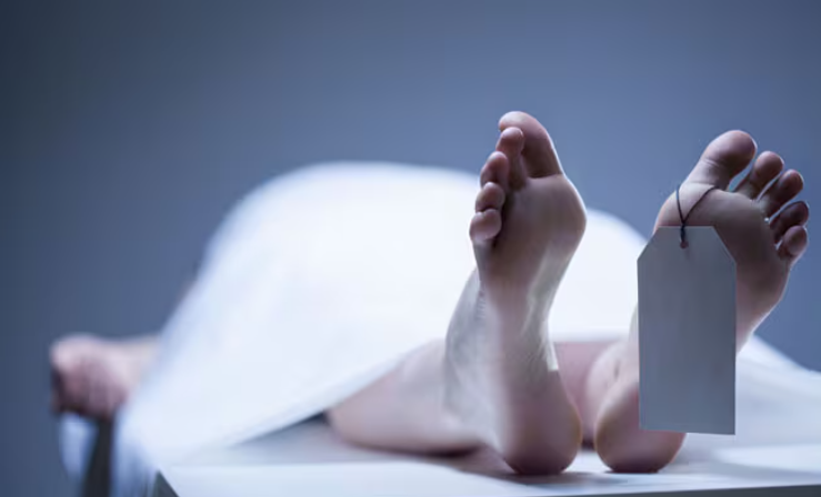 ৩০ বছর বনজঙ্গলে সাপ ধরে মারা গেলেন সাপের কামড়ে!