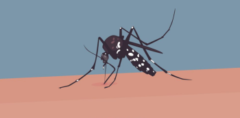 গত ২৪ ঘণ্টায় ডেঙ্গুতে ৩ জনের মৃত্যু, ভর্তি ৩৩১