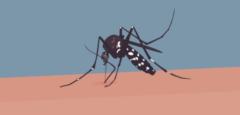 ডেঙ্গুতে ২৪ ঘণ্টায় ১২ জনের মৃত্যু