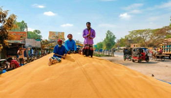 নন্দীগ্রামে মহাসড়কের দুই পাশে অবৈধ স্থাপনায় সংকুচিত সরিষার হাট